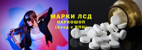 хмурый Алзамай