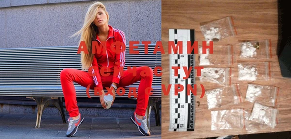хмурый Алзамай