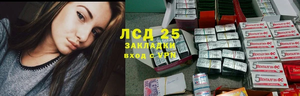 хмурый Алзамай