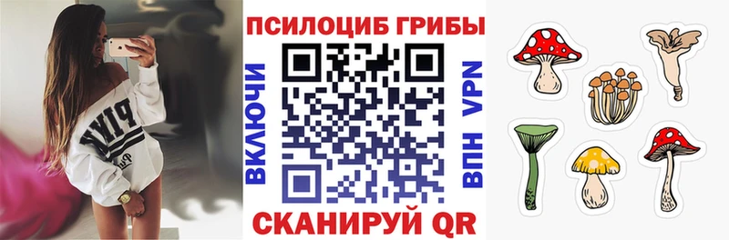 Псилоцибиновые грибы мицелий даркнет как зайти Бологое ссылка на мегу ONION